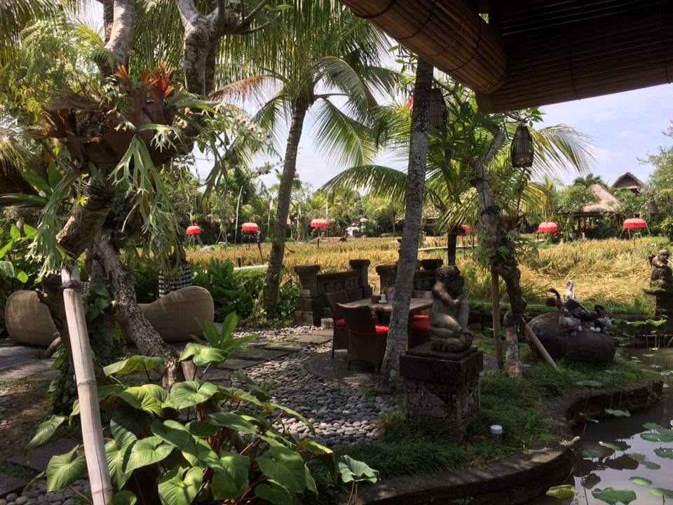 Hot Yoga Retreat Bali May 2016 Gallery FreeSpiritYogaRetreats